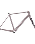 Surveyor Frameset