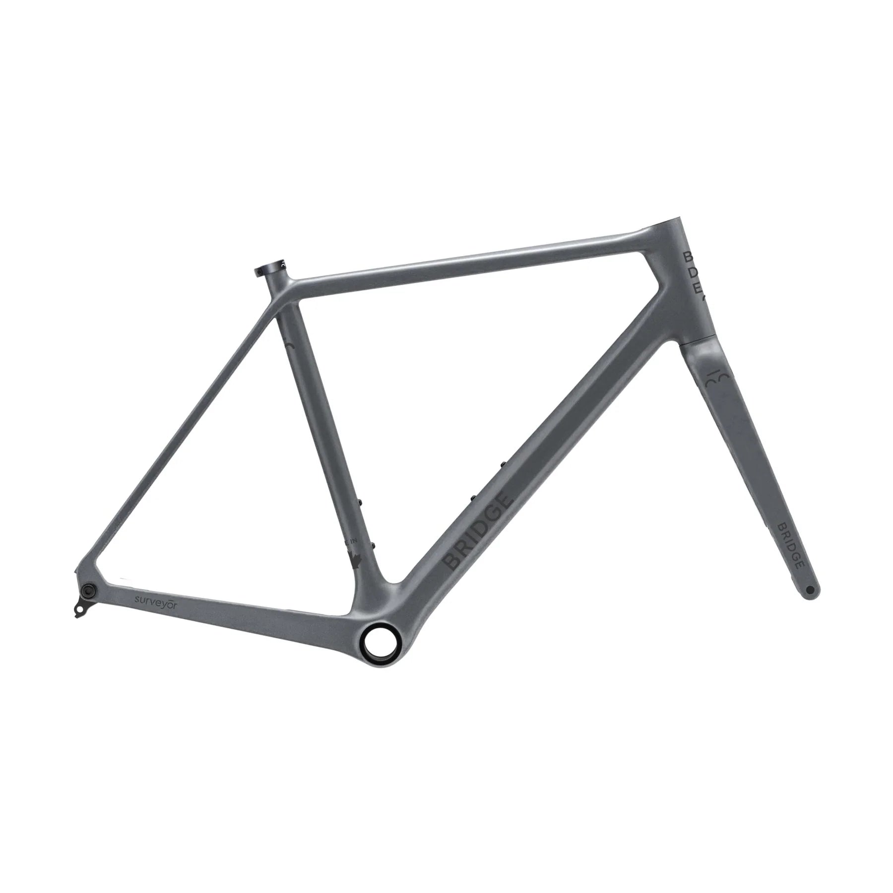 Surveyor Frameset