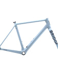 Surveyor Frameset