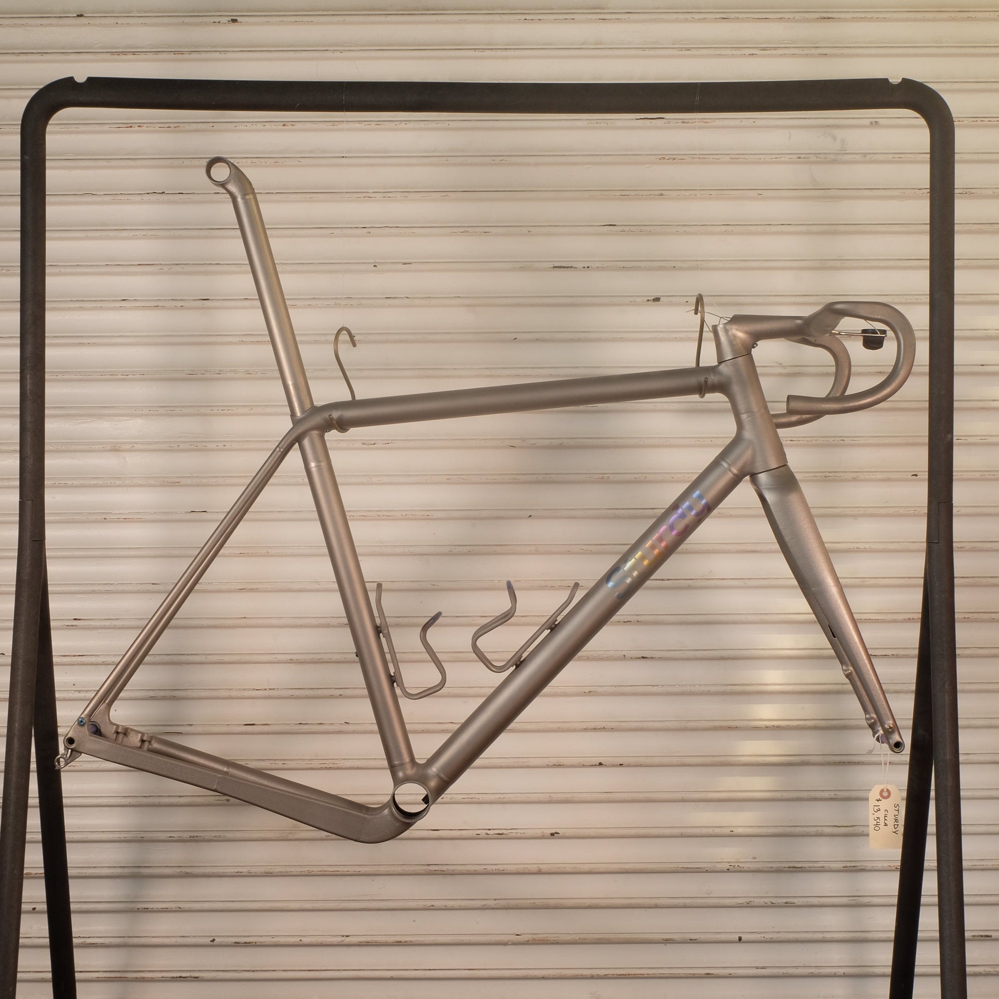 STURDY Fiadh Custom Frameset - Size 56