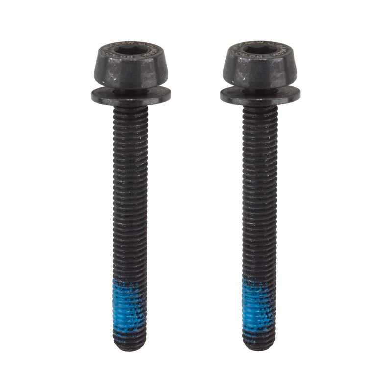 Campagnolo H11 Disc Brake Caliper Mounting Screws 2x39mm for 20-34mm Mount